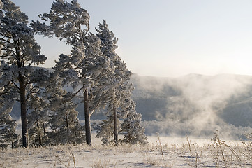 Image showing Winter scene