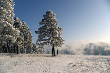 Image showing Winter scene