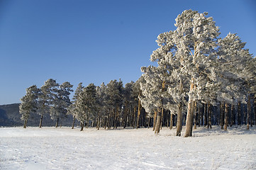 Image showing Winter landscape