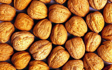 Image showing Background of ripe brown hazelnuts