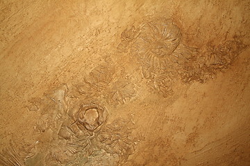 Image showing Shell in stone sediment abstract background