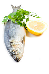 Image showing fish with lemon