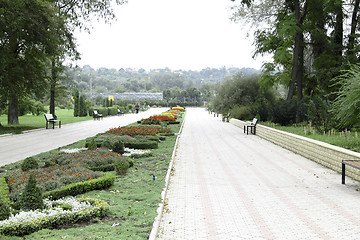 Image showing park with flowerbeds