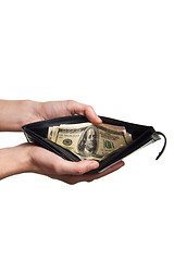 Image showing dollard in purse