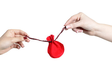 Image showing two woman hands hold Christmas gift bag isolated