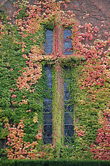 Image showing Autumn cross