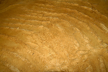 Image showing wall with  fossils