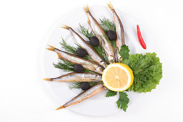 Image showing anchovies on white background