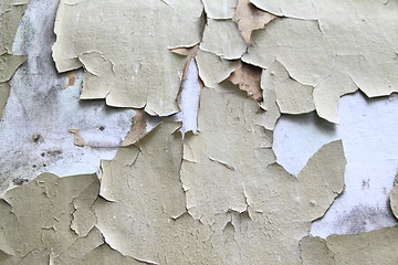 Image showing Old paint peeling from wall background