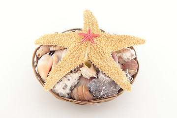 Image showing Starfish on seashells