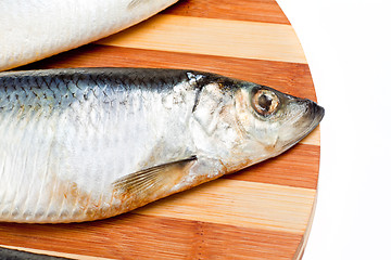 Image showing close up of Fish isolated on white