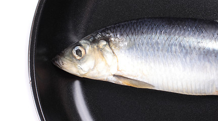 Image showing fish on pan