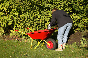 Image showing Autumn gardening