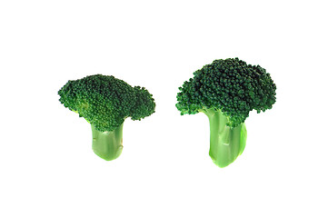 Image showing broccoli isolated on white