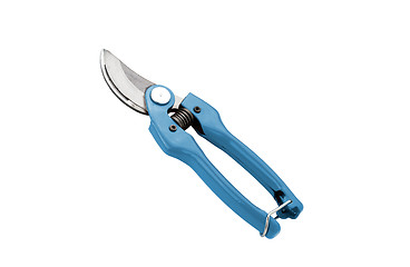 Image showing blue garden pruner on the white