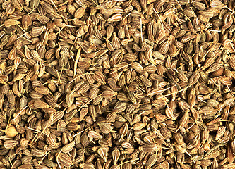 Image showing Cumin seeds