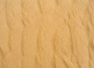 Image showing Sand Texture