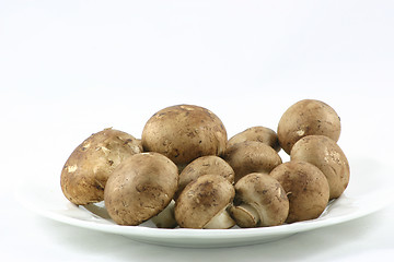 Image showing chestnut mushrooms