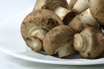 Image showing chestnut mushrooms