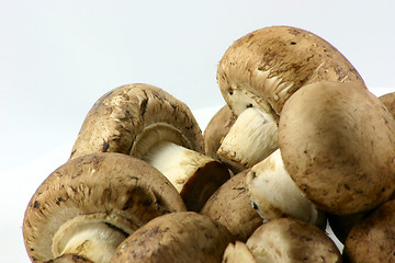 Image showing chestnut mushrooms