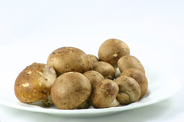 Image showing chestnut mushrooms