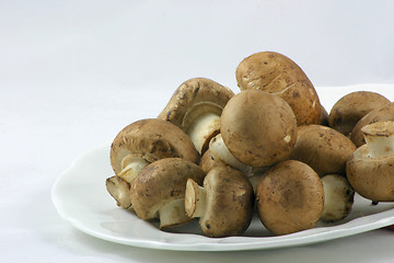 Image showing chestnut mushrooms