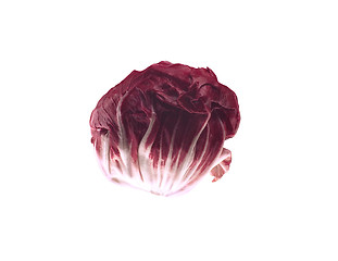 Image showing fresh red cabbage on a white background