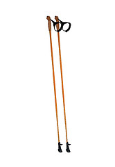 Image showing walking sticks under thew white background