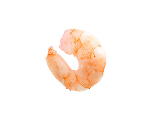 Image showing shrimp isolated on a white background