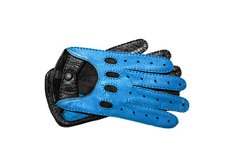 Image showing Blue Glove