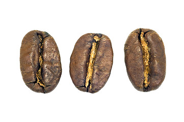 Image showing Big coffe beans