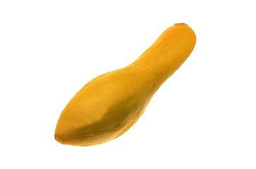 Image showing Fresh yellow zucchini isolated