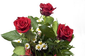 Image showing Red roses