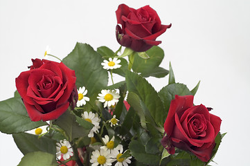 Image showing Red roses