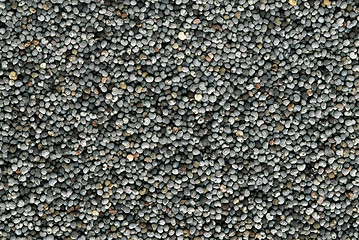 Image showing Poppy seeds