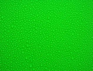 Image showing water-drops on green