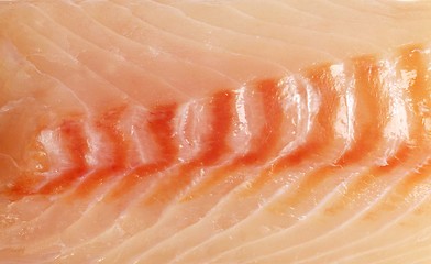 Image showing raw salmon fillet background