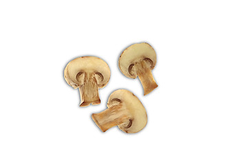 Image showing three agaricus mushrooms isolated on a white background