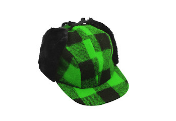 Image showing green cap with black ears
