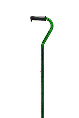 Image showing green walking stick under thew white background
