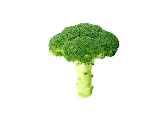 Image showing Broccoli on White Background