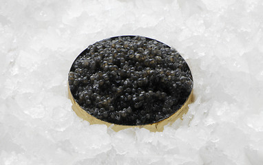 Image showing Black caviar in a bowl isolated