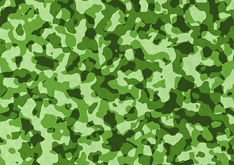 Image showing Seamless camouflage pattern