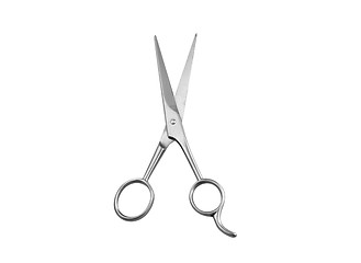 Image showing Professional Haircutting Scissors