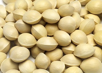 Image showing many pistachios isolated on a white background