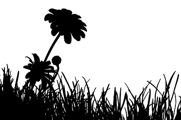 Image showing Meadow Silhouette