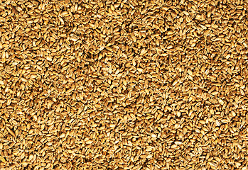 Image showing natural oat grains background, closeup