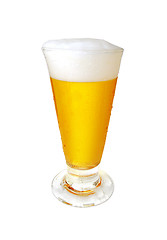 Image showing Frosty glass of light beer isolated on a white