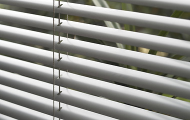 Image showing Window blind detail