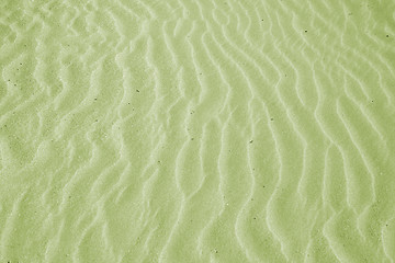 Image showing Beach with soft sand